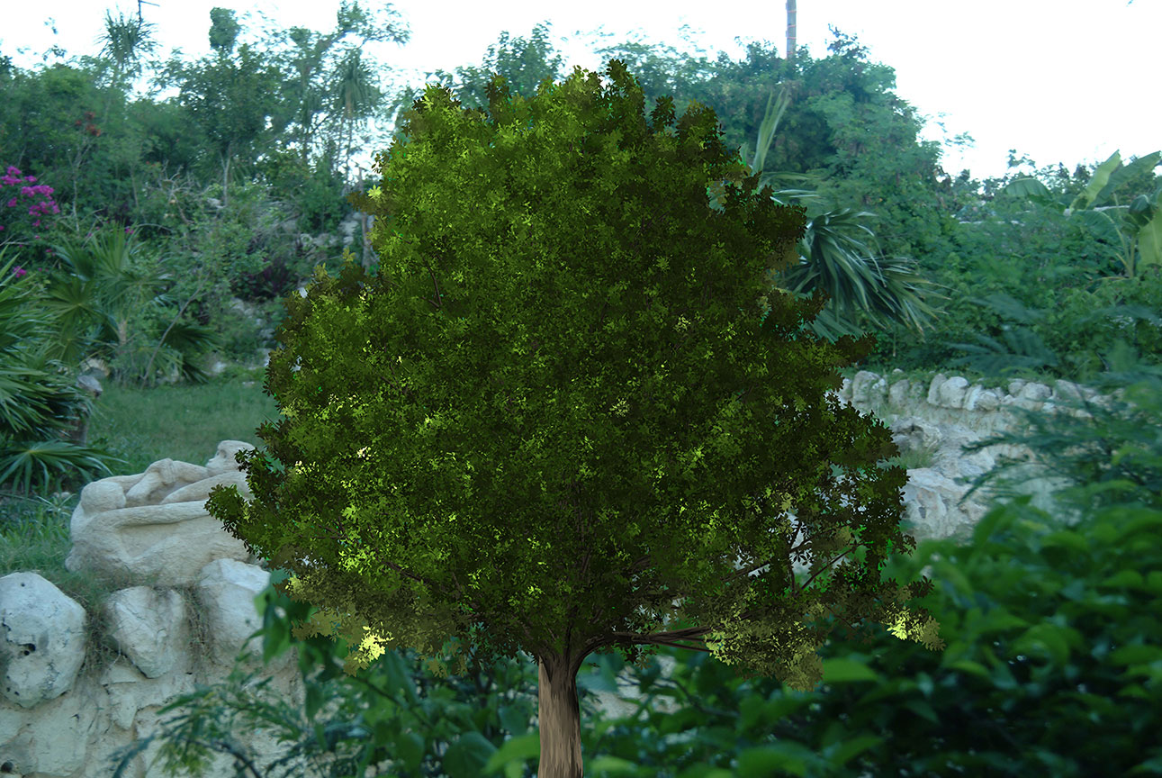 "Tree"