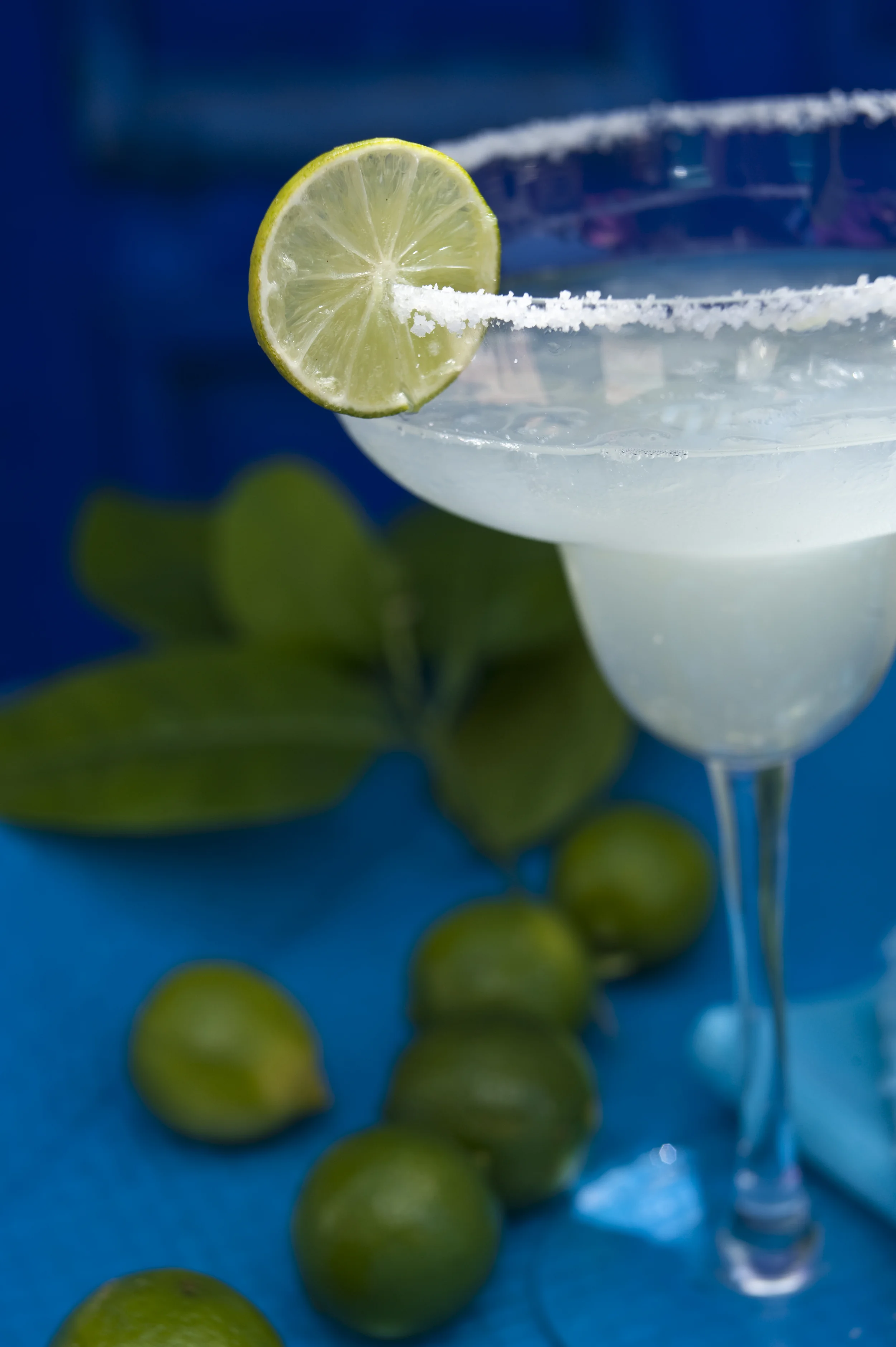 margaritaphoto.jpg