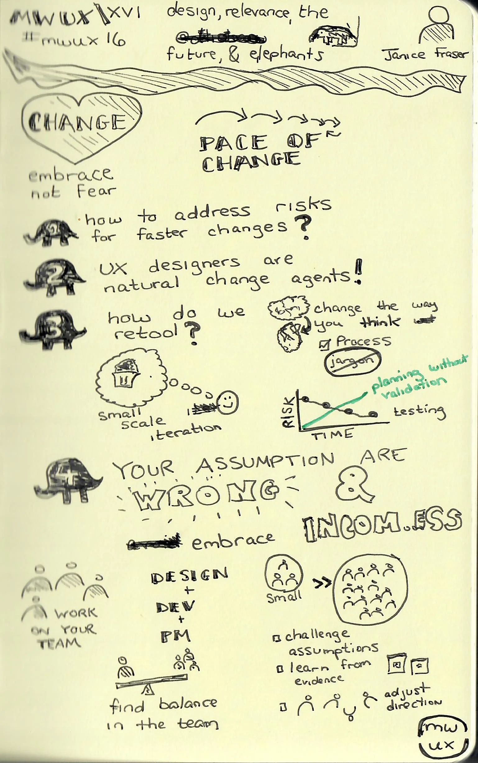 Design Relevance the Future and Elephants (Janice Fraser).jpg