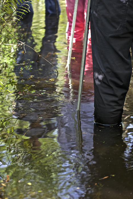 Leg Reflections ©Connie Bransilver
