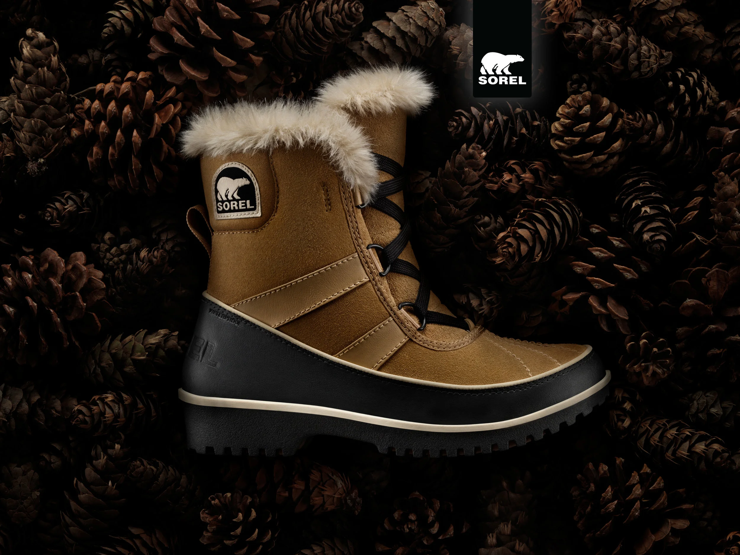 iPadPortfolio_0010_Layer Comp 11.jpg