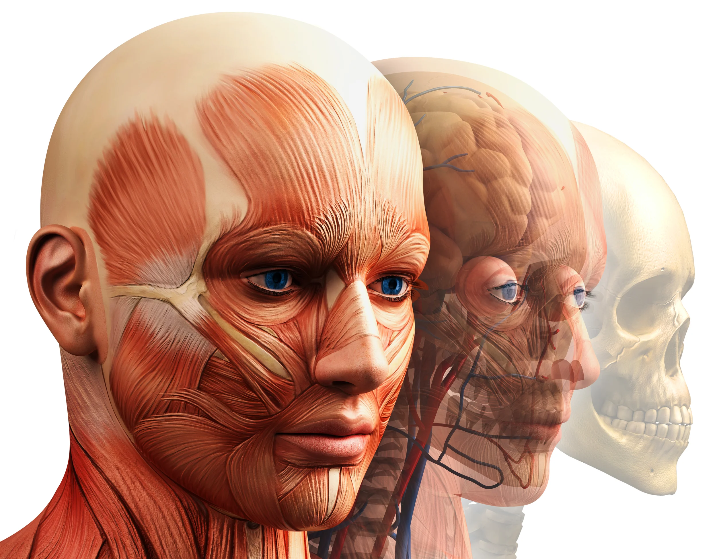The Savsani Mind Method