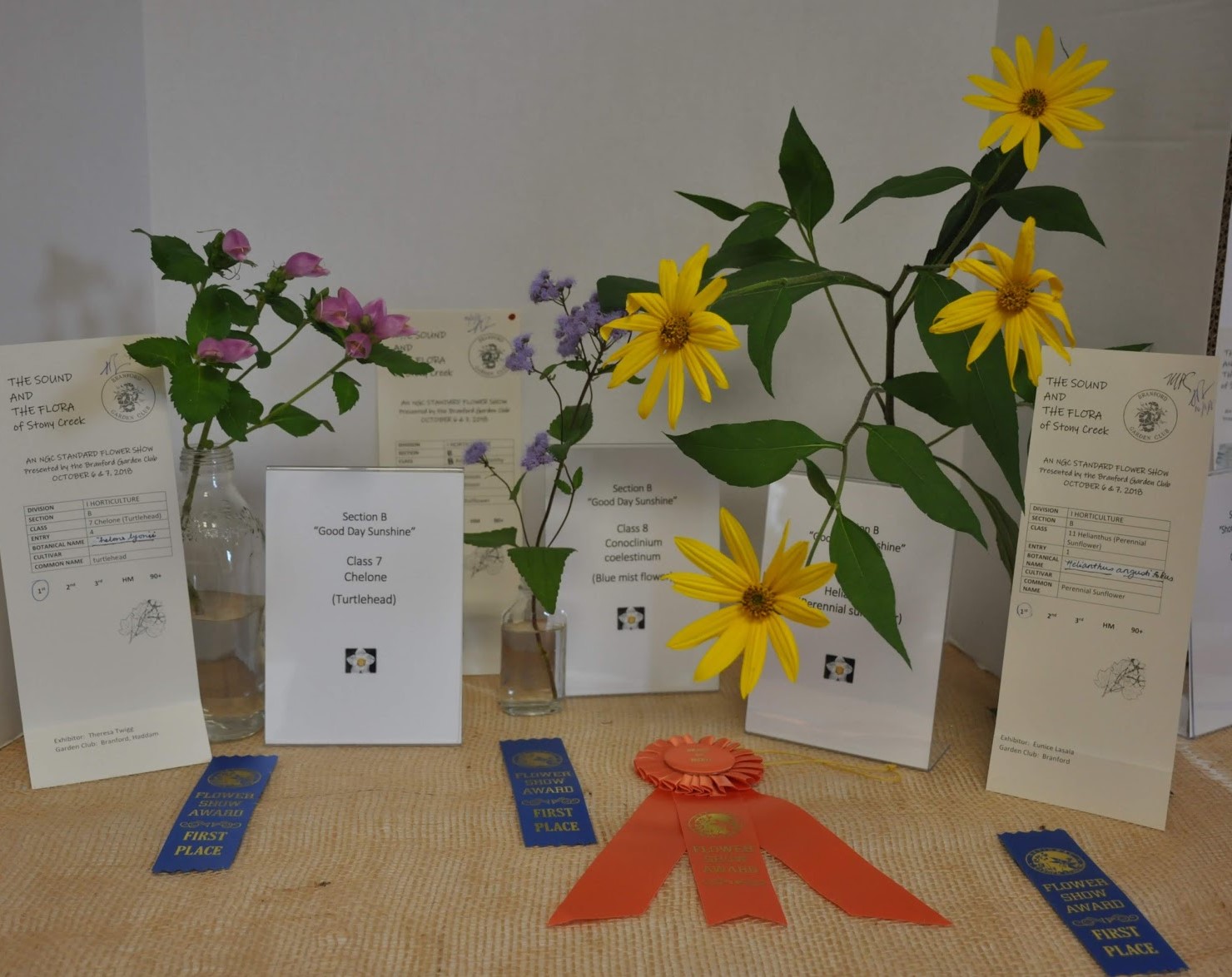 Horticultural Winners