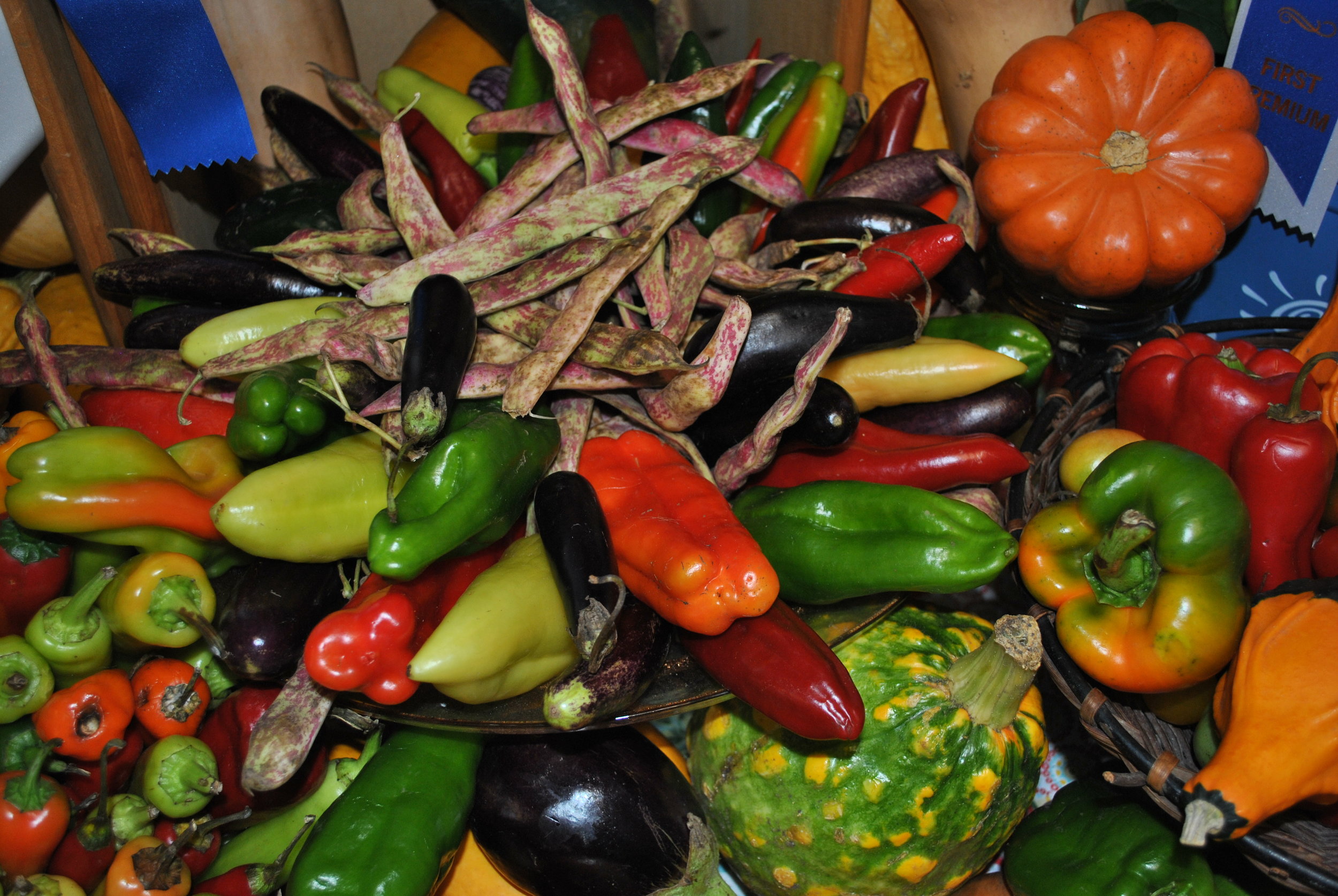 Vegetable Display