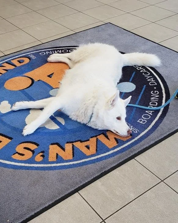 photo_2026-03-06 10.32.53.jpeg