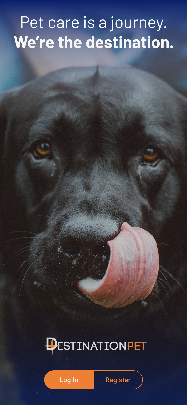 The log-in/register screen was designed to be simple, but splashy with a bold, welcoming image.