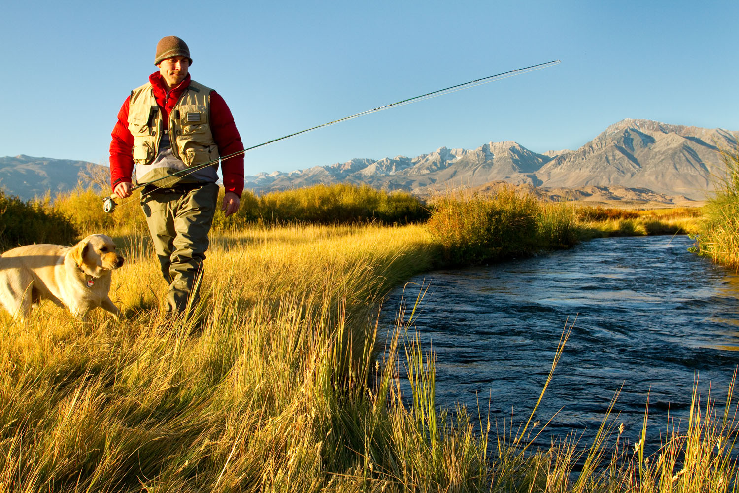  Lifestyle: Brian Harry fly fishing the Owens River at sunrise in late Autumn, Eastern Sierra, California 