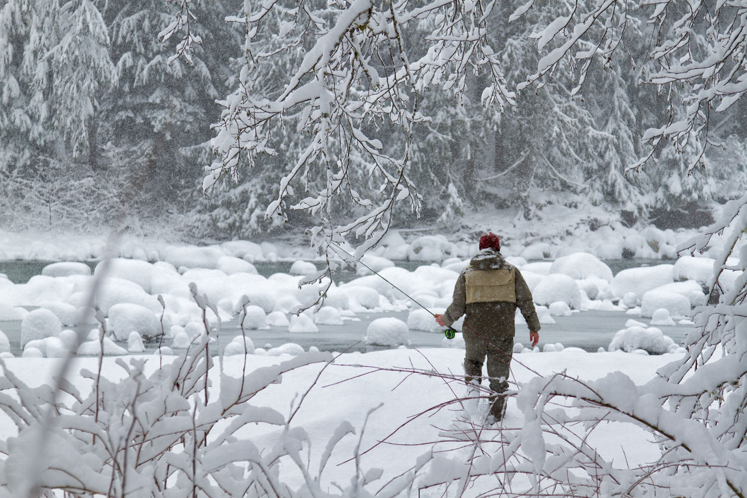  Lifestyle: Chris Solomon works his way through the snow to fly fish in the snow, South Fork of the Stillaguamish River, Central Cascades 