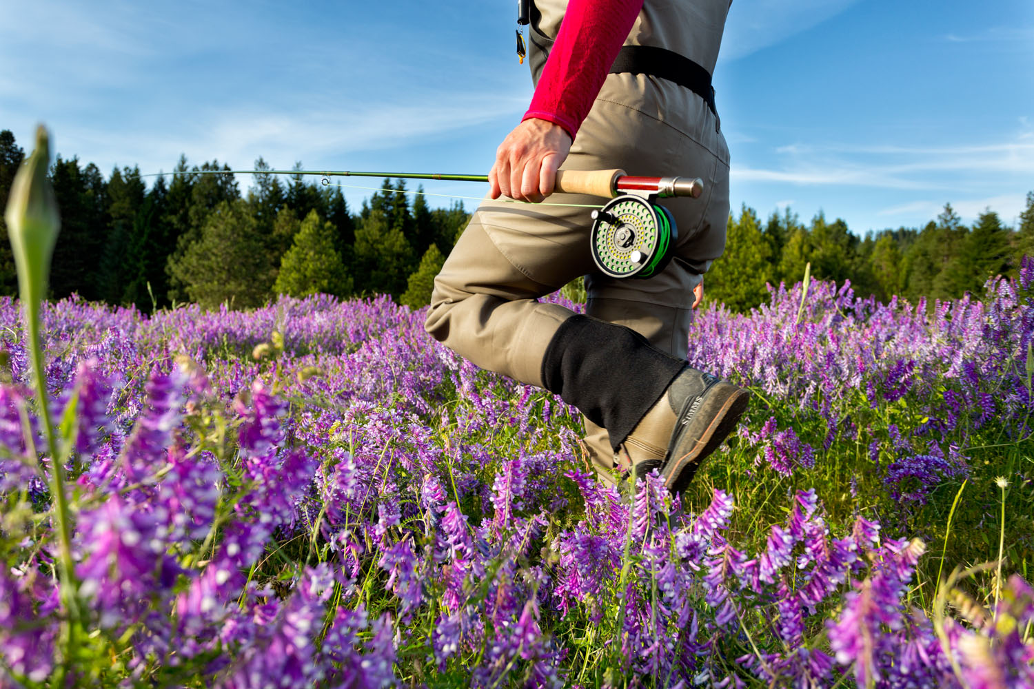  Lifestyle: Kathleen Hasenoehrl walking through a field of wildflowers on her way to fly fish the Yakima River at sunset, Central Cascades, Washington 