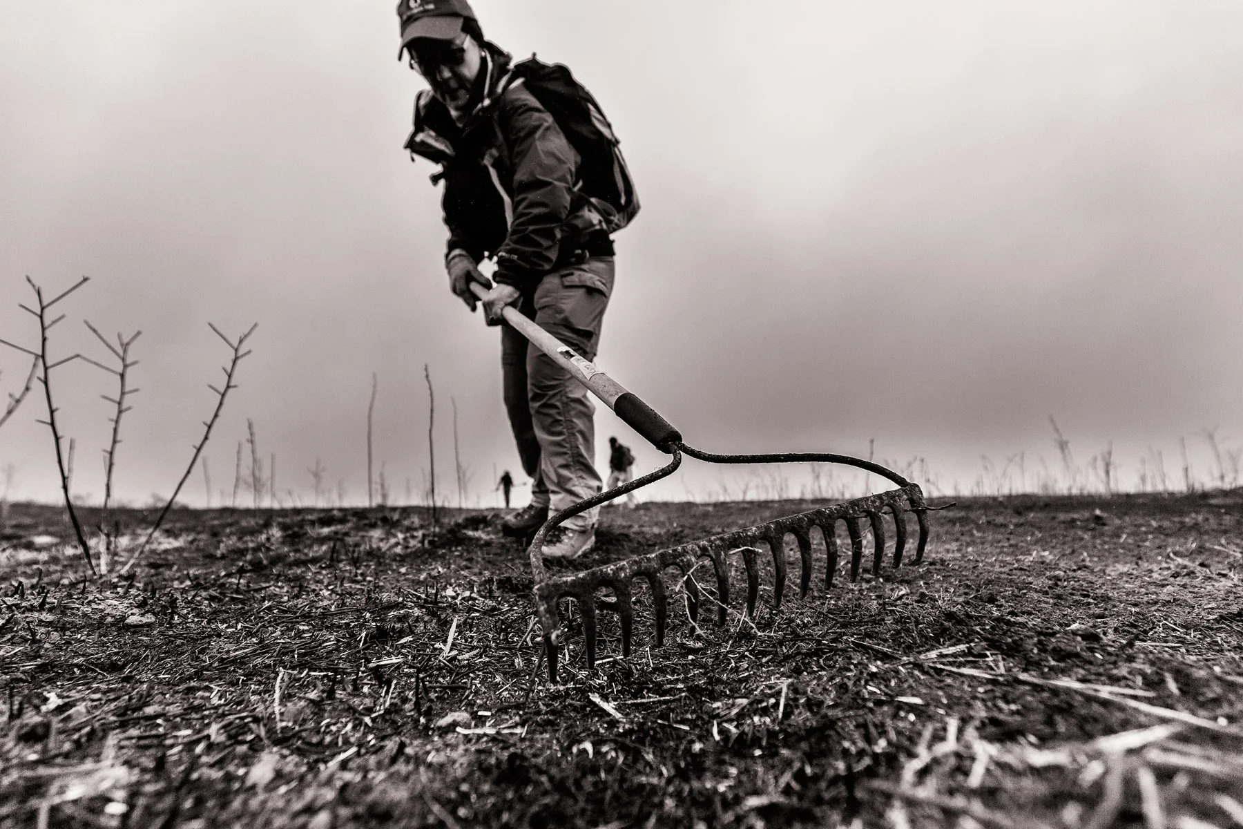 Conservation: A group of volunteers spreading seed after a wildfire in the Methow Valley, Washington