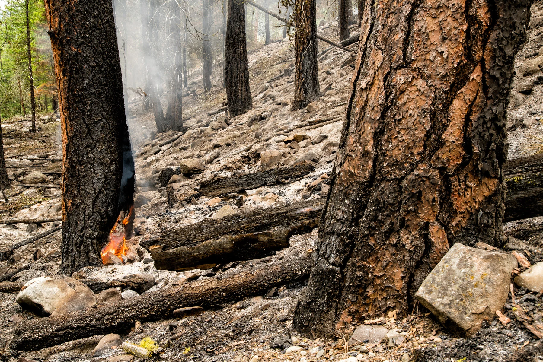 Conservation: A prescribed burn smolders in the Methow Valley, Washington