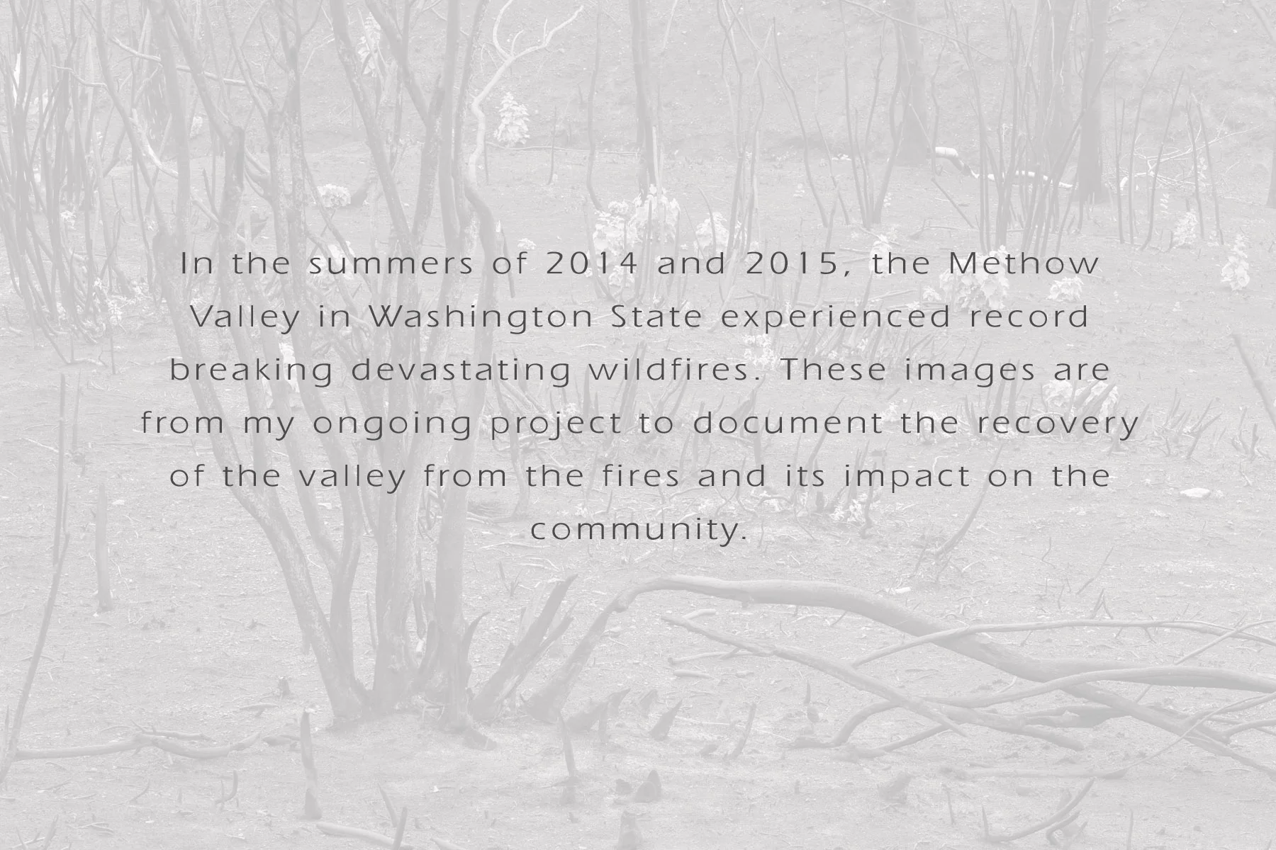 Conservation: The Methow Valley after a devestating wildfire, Washington