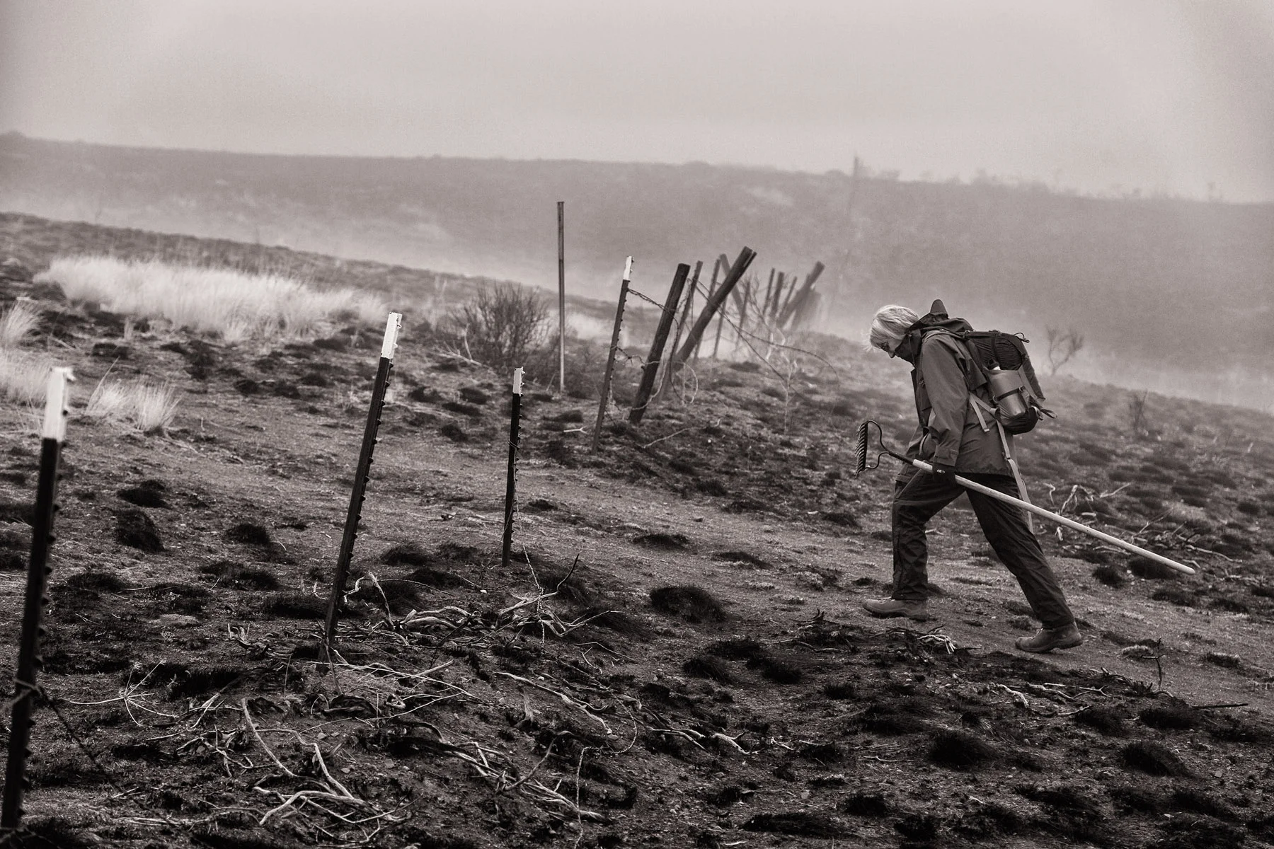 Conservation: A volunteer spreading seed after a wildfire in the Methow Valley, Washington