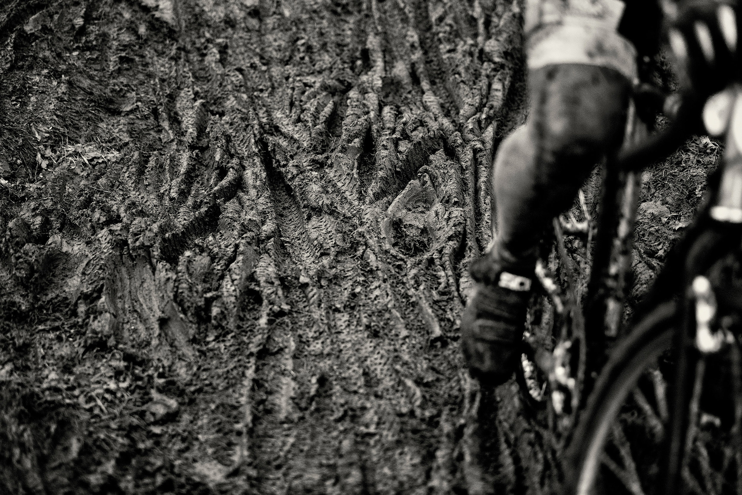  Competition: Cyclocross racers during a race on a rainy night at Marmoor Park, Redmond, Washington 