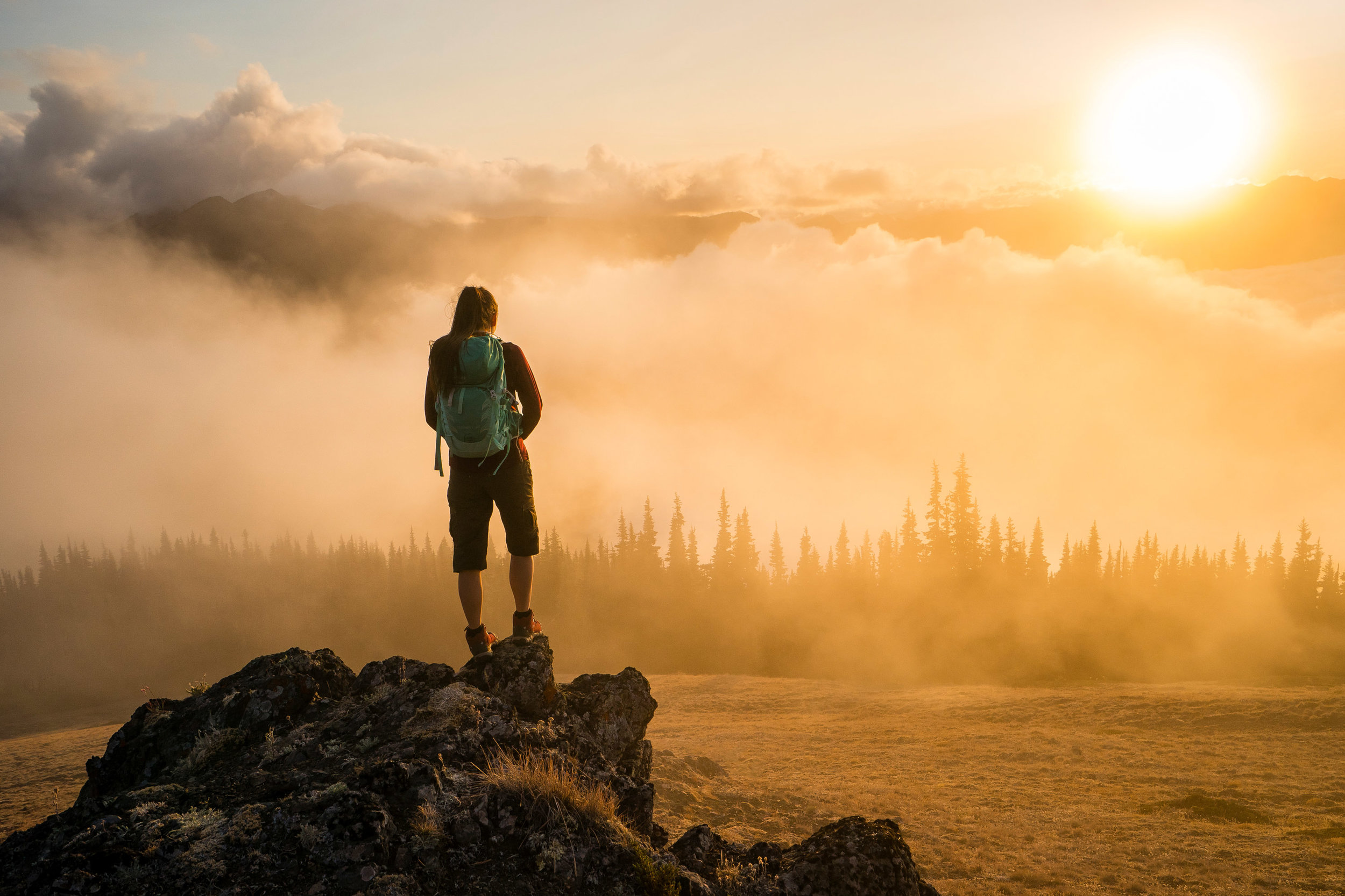  Adventure: Hiking in Olympic National Park in summertime, Olympic National Park, Washington 