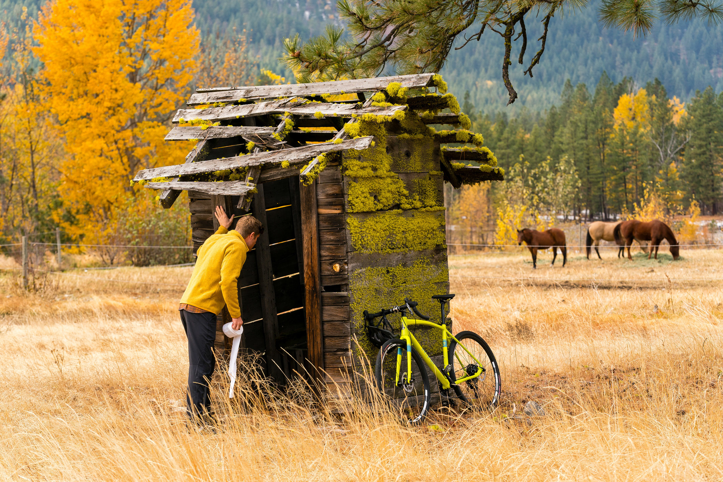  Adventure: Bike riding in the Methow Valley in the fall, Winthrop, Washington 