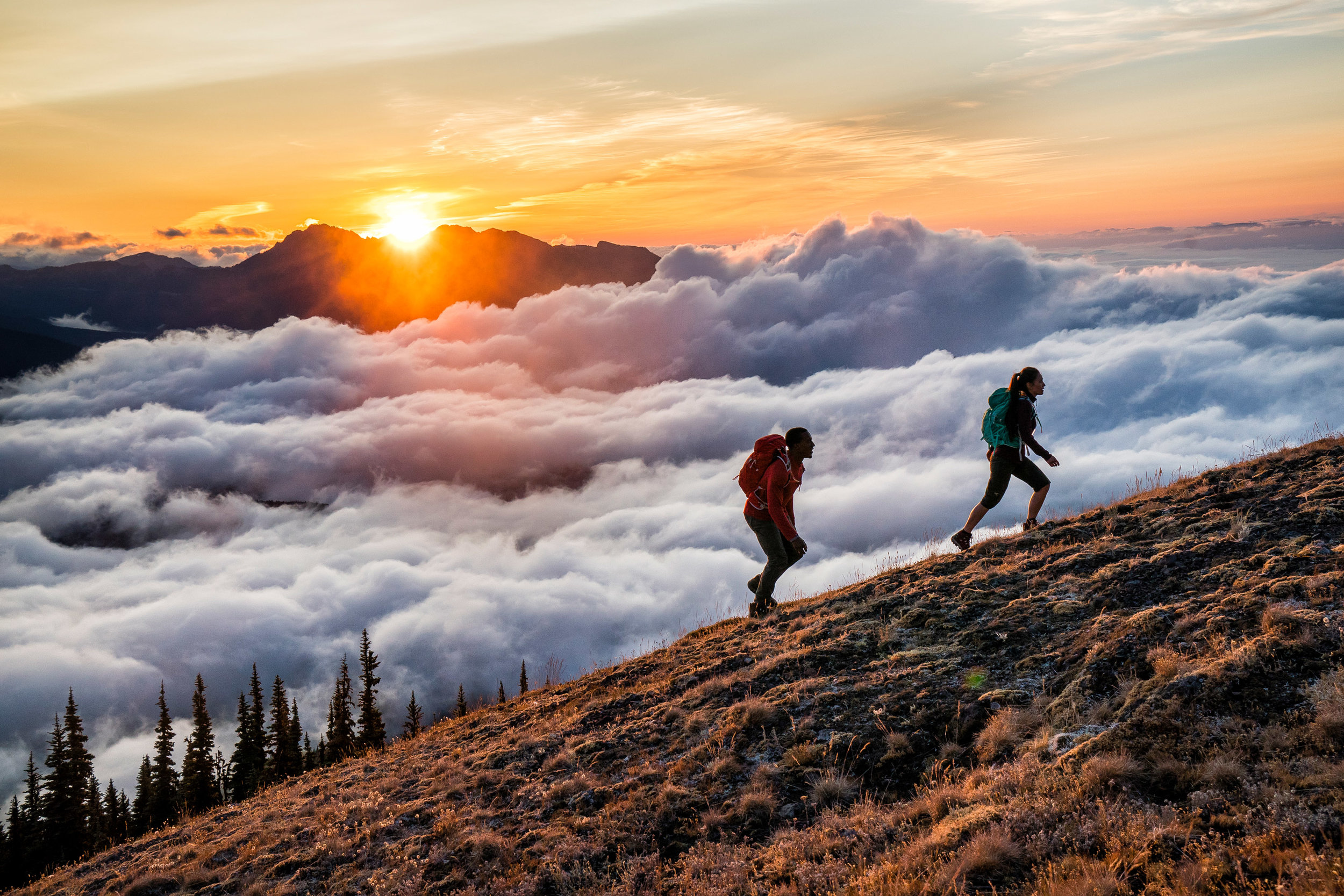  Adventure: Hiking in Olympic National Park in summertime, Olympic National Park, Washington 