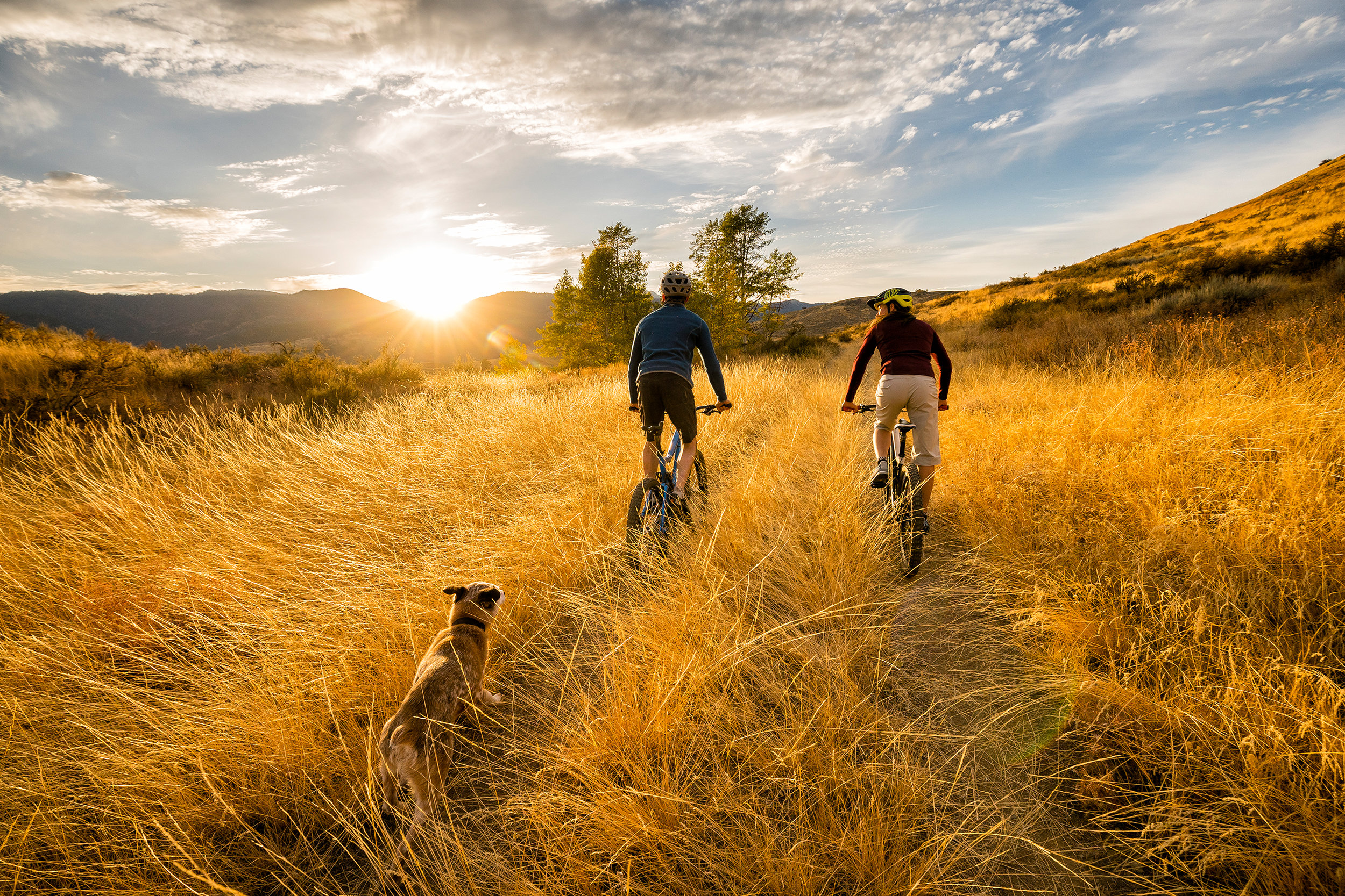  Adventure: A young couple mountain biking with their dog in autumn in the Methow Valley, Washington 