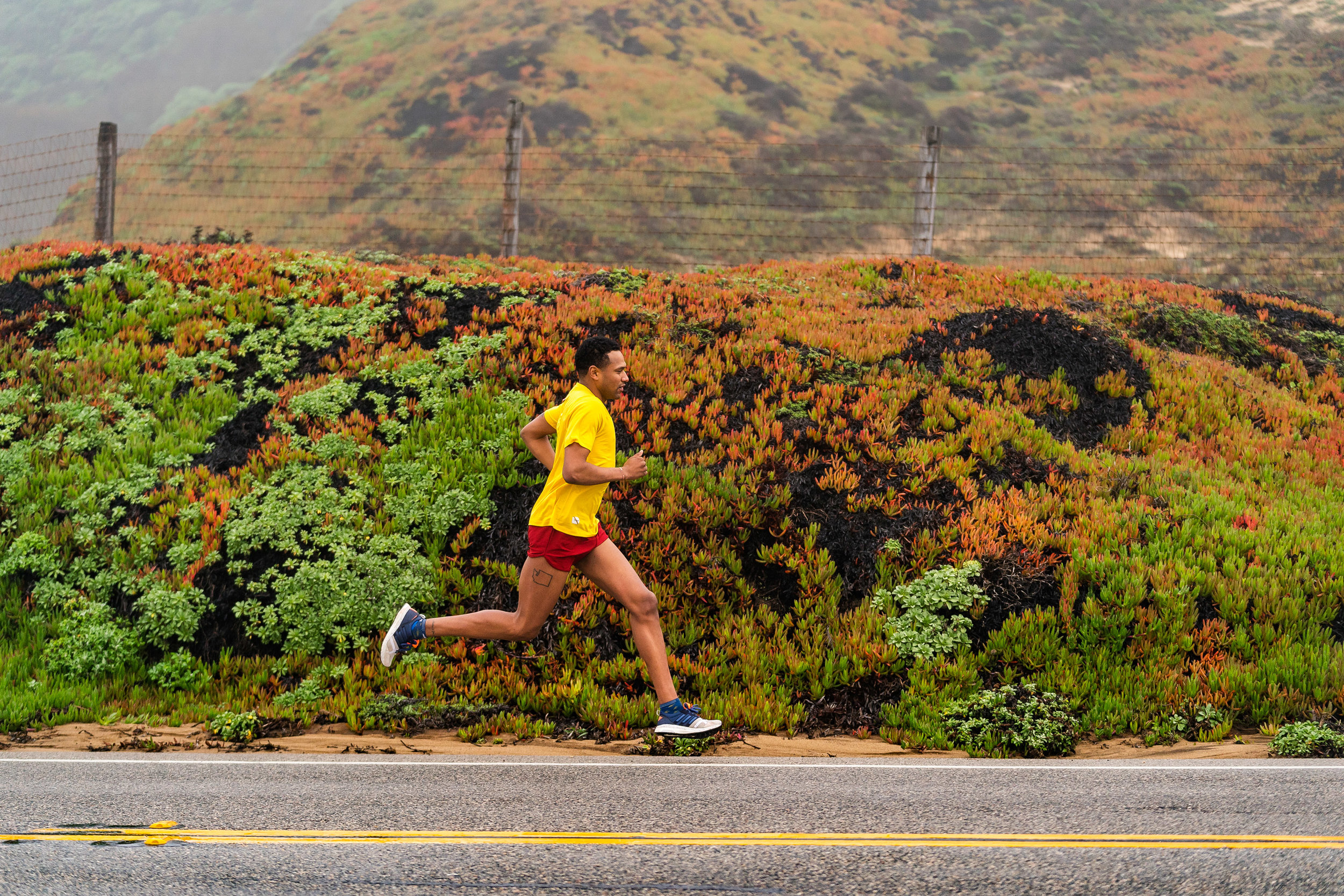  Adventure: Road and trail running along the Big Sur Coast, California 