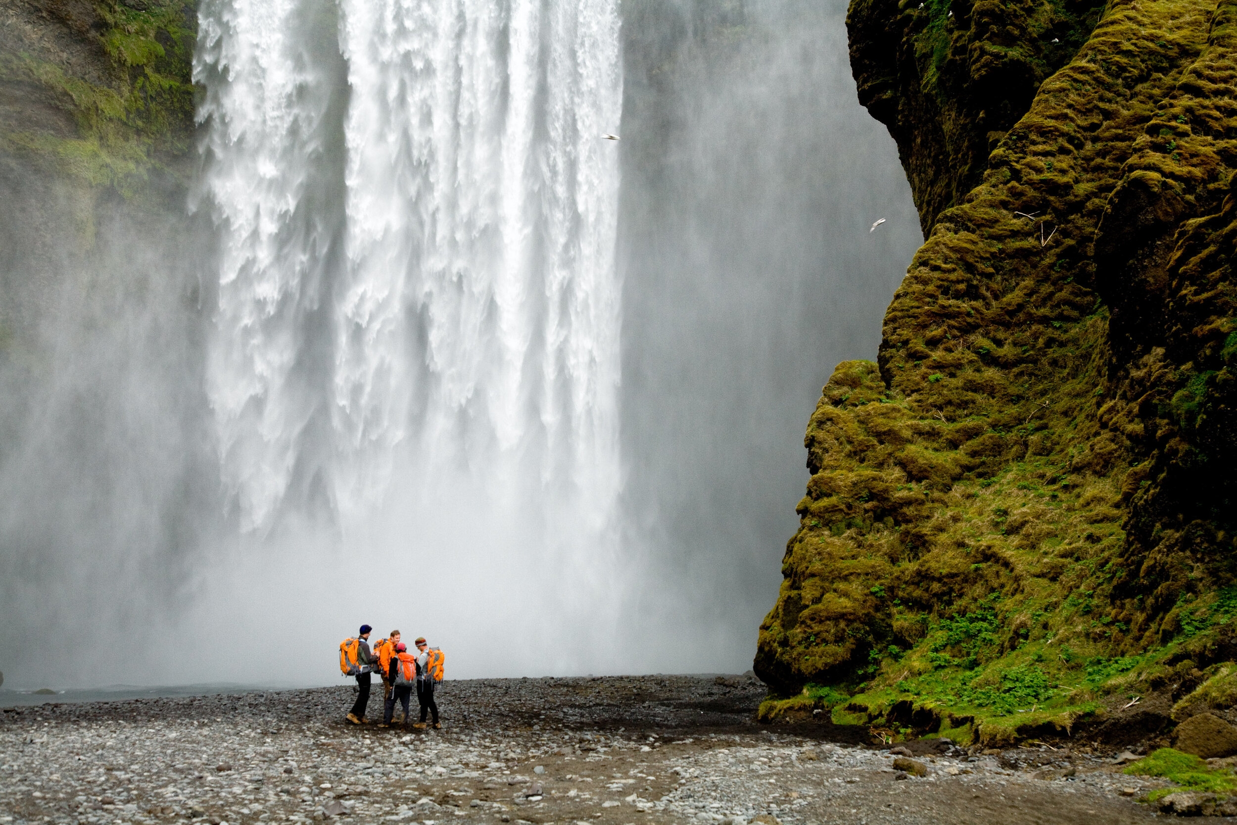  Adventure: Four hikers below Skogafoss, Iceland 