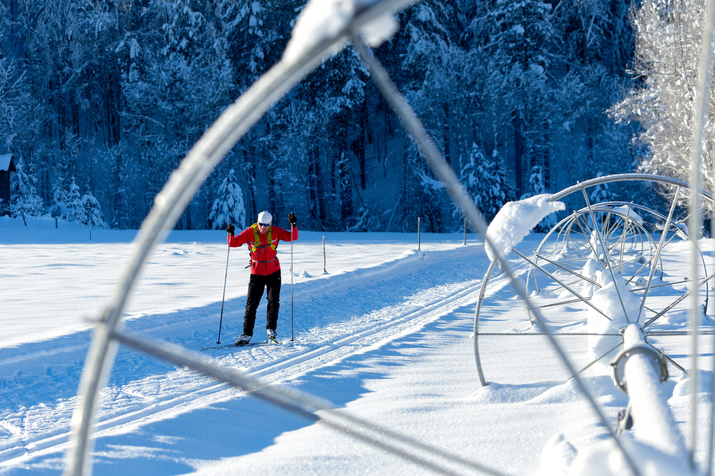  Adventure: Chad Gregg Nordic skiing in the Methow Valley, Mazama 