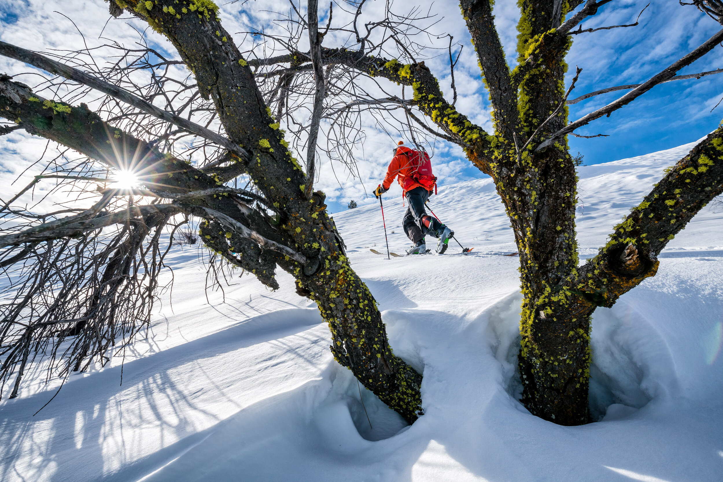  Adventure: Dave Summers backcountry ski touring in the Methow Valley on a sunny winter day, Winthrop, Washington 