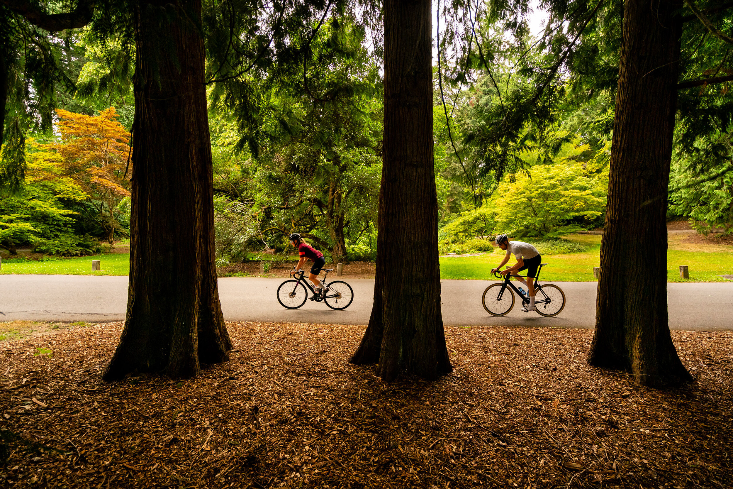  Lifestyle: Arielle Knutson and Tyler Smith road biking in Washington Arboretum, Seattle  