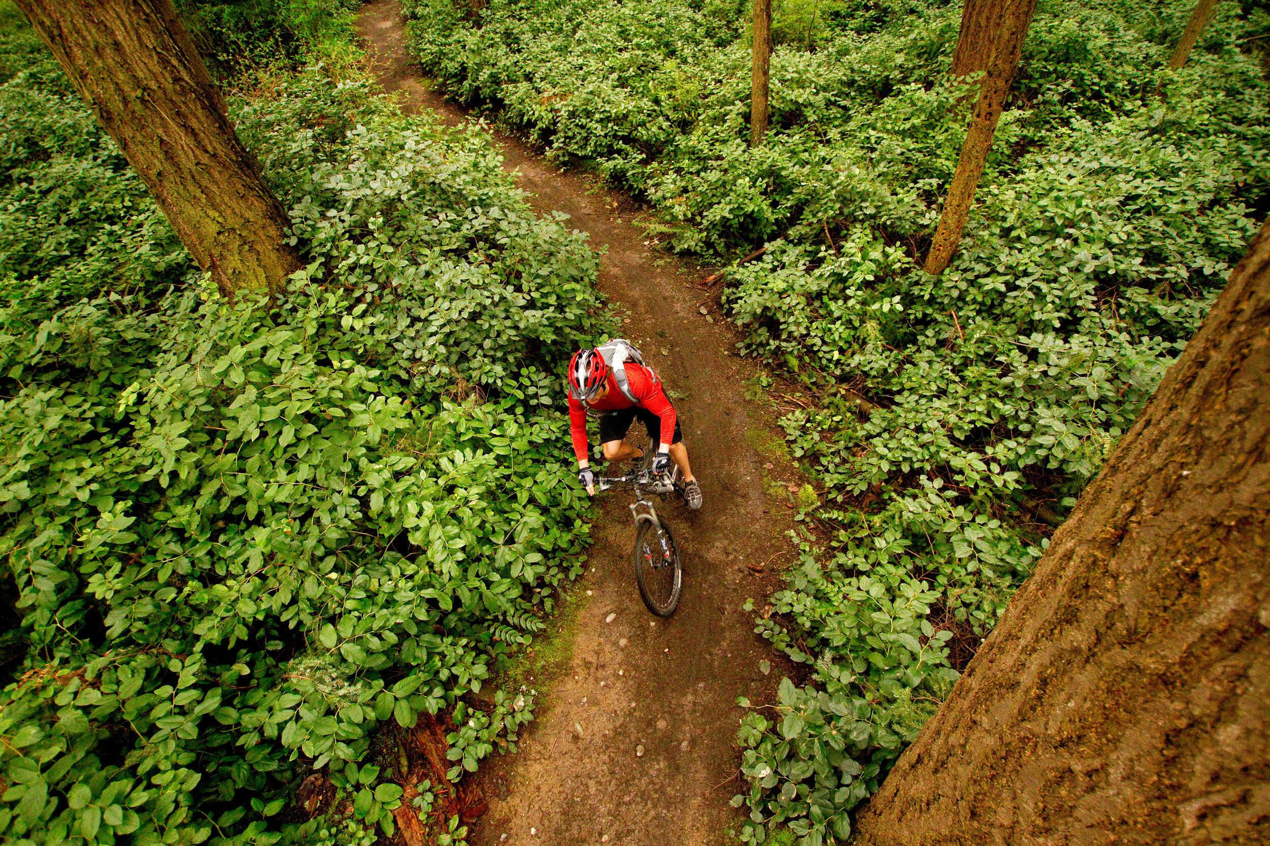  Adventure: Joe Bauer mountain biking through a forest, Big Finn Hill 