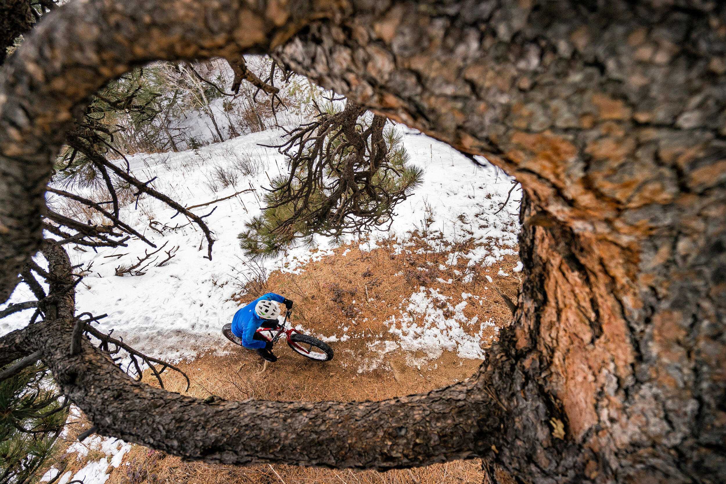  Adventure: Dane Cronin fat biking on a winter afternoon in the foothills near Golden Colorado 