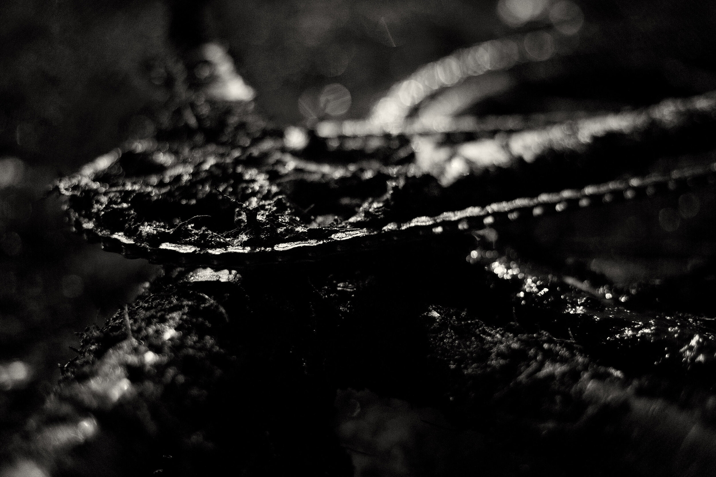  Competition: A mud covered cyclocross race bike after a race on a rainy night at Marmoor Park, Redmond, Washington 