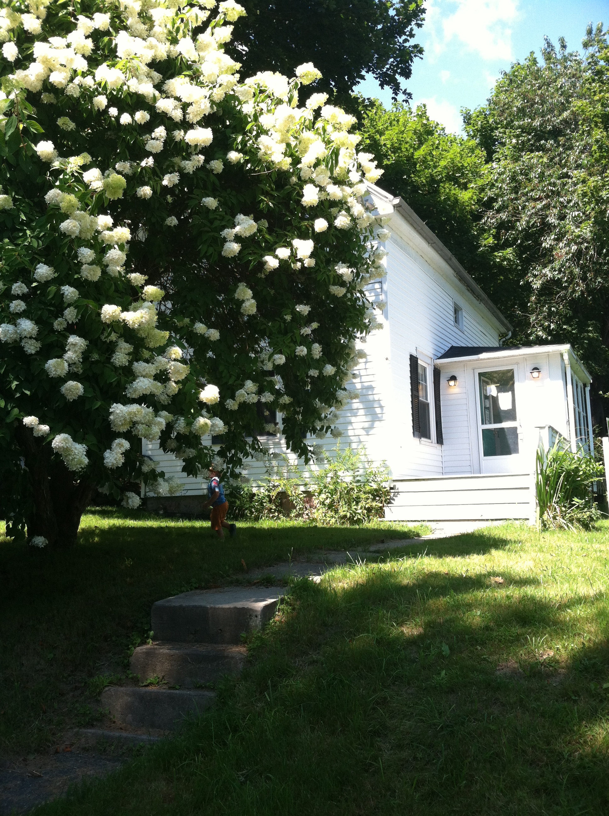 Doubling Point Cottage