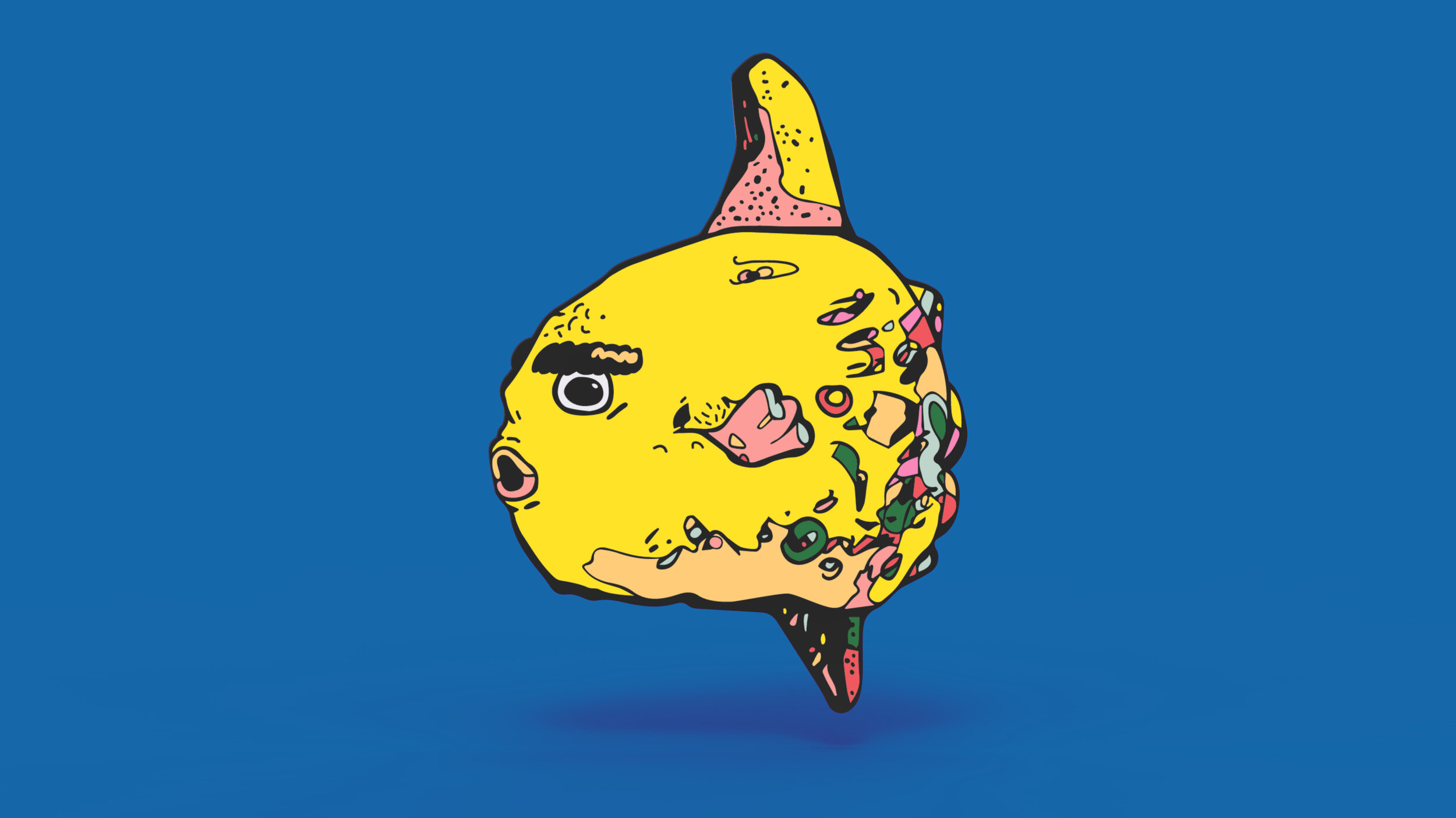 sunfish.jpg