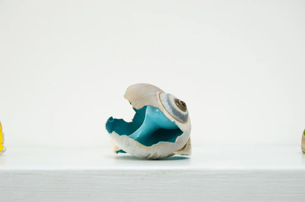 Broken Shell, 2002-present