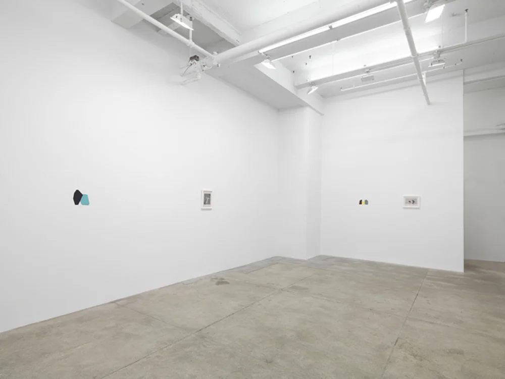 Andrew Kreps Gallery April 5 - May 10, 2014