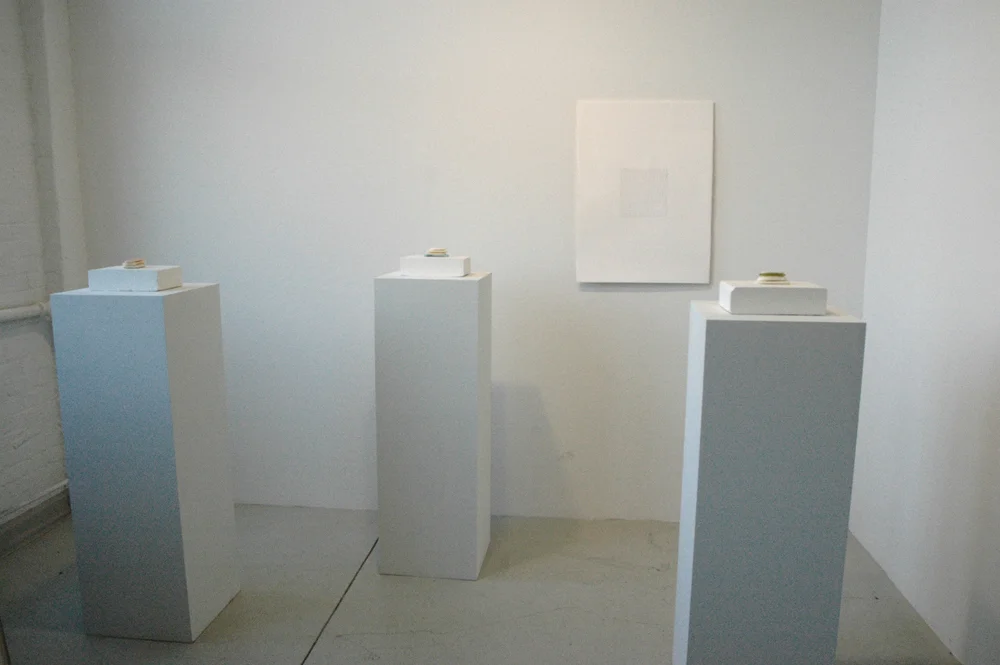 Virgil de Voldere Gallery March 22 - May 5, 2007