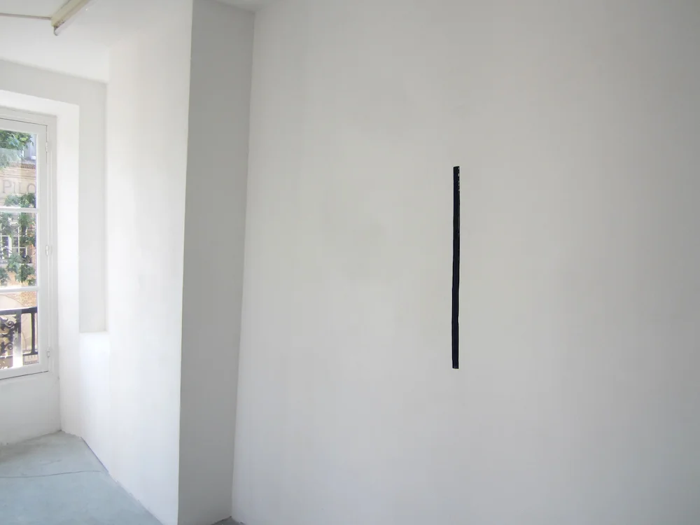 GALERIE JOSEPH TANG Decoy of New Showers 2015