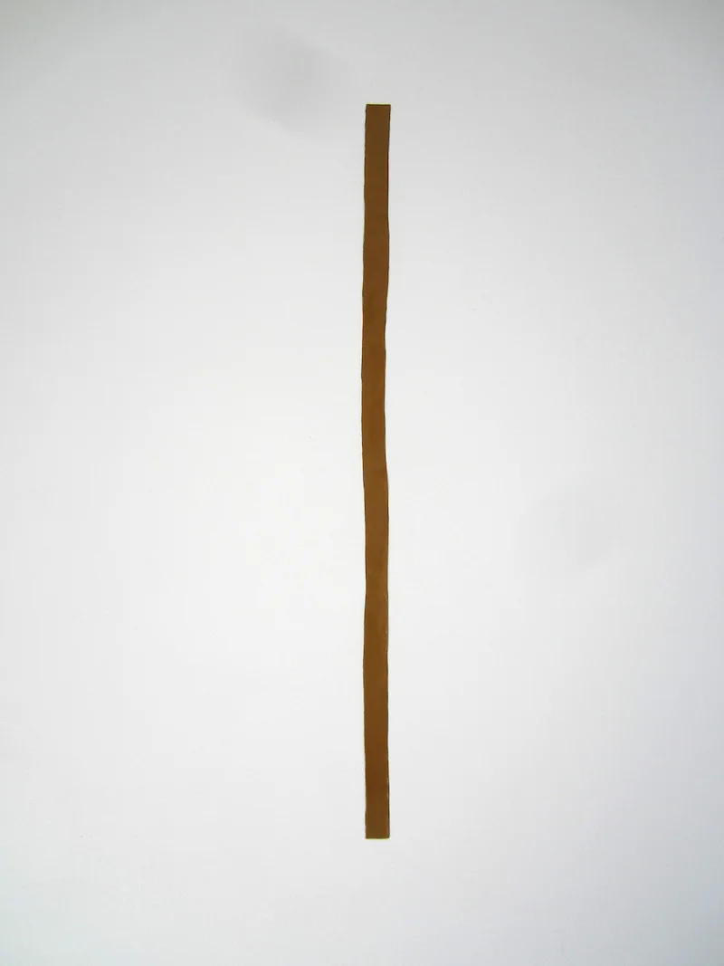 GALERIE JOSEPH TANG Decoy of New Showers 2015