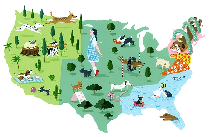 College of William and Mary