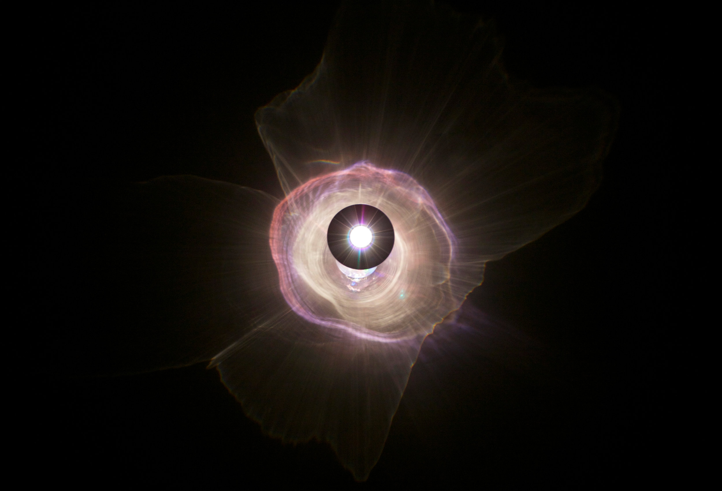 An Exploding Star is an Inverted Eye , 2014. Blown glass, distressed plastic, anodized aluminum rod, krypton incandescent bulb. Dimensions variable. Edition of 10. © Lia Chavez