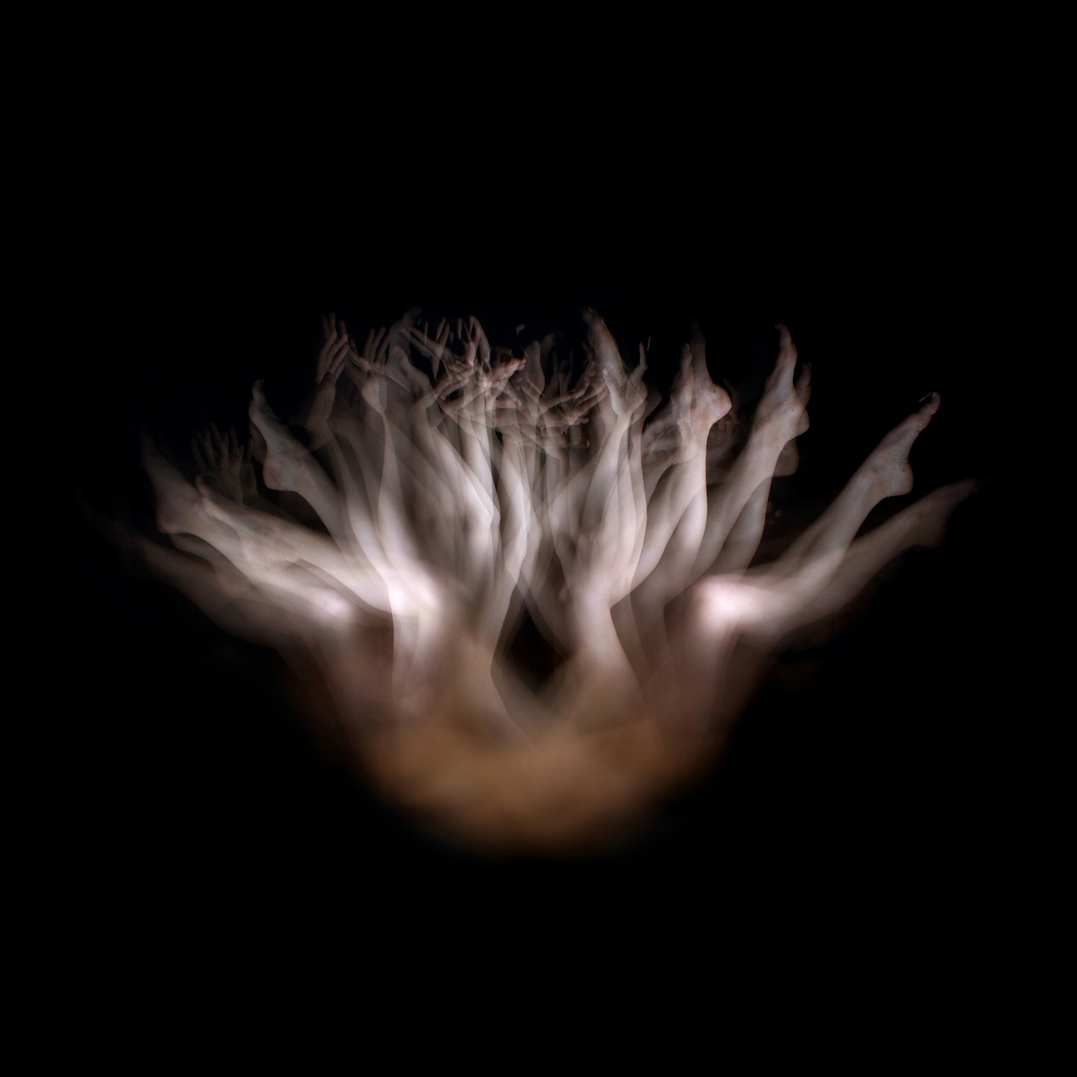 Firmament's Blossom , 2011. C-print. 40 x 40 inches (101.6 x 101.6 cm) Edition of 5, 2 APs © Lia Chavez