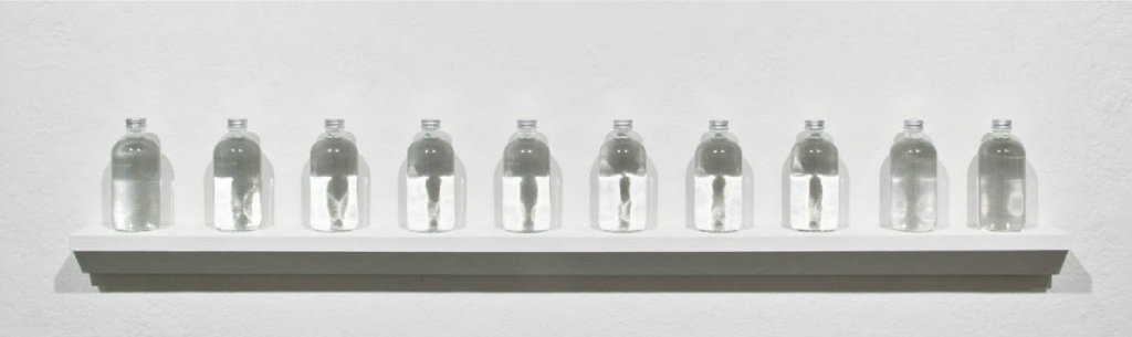 PLATE 26. Lia Chavez. True Light: Material Dispersion , 2012. Purified spring water, glass bottles, aluminum caps.
