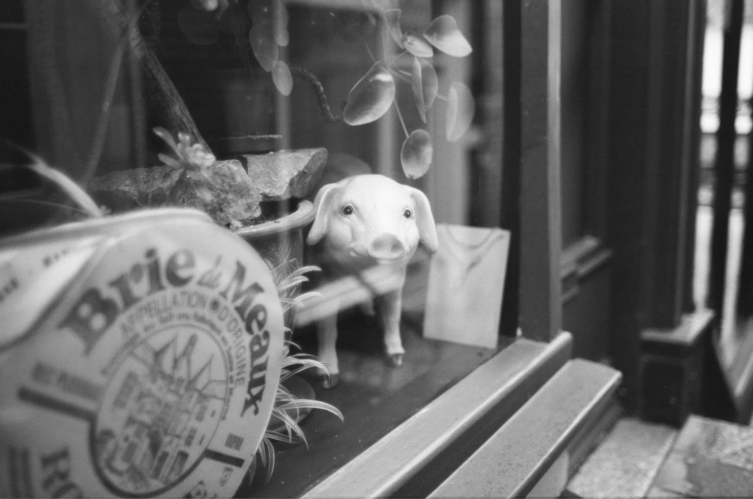 Rollei Retro 400 - Another first