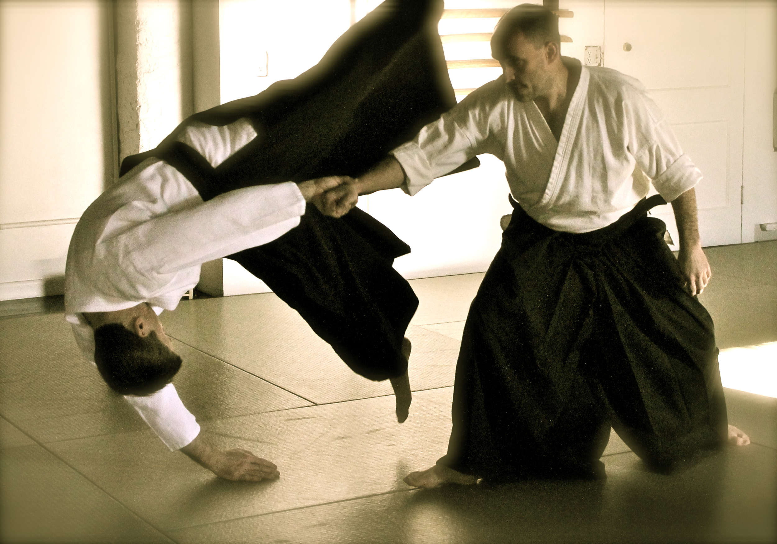 aikido (10) - Copy.jpg