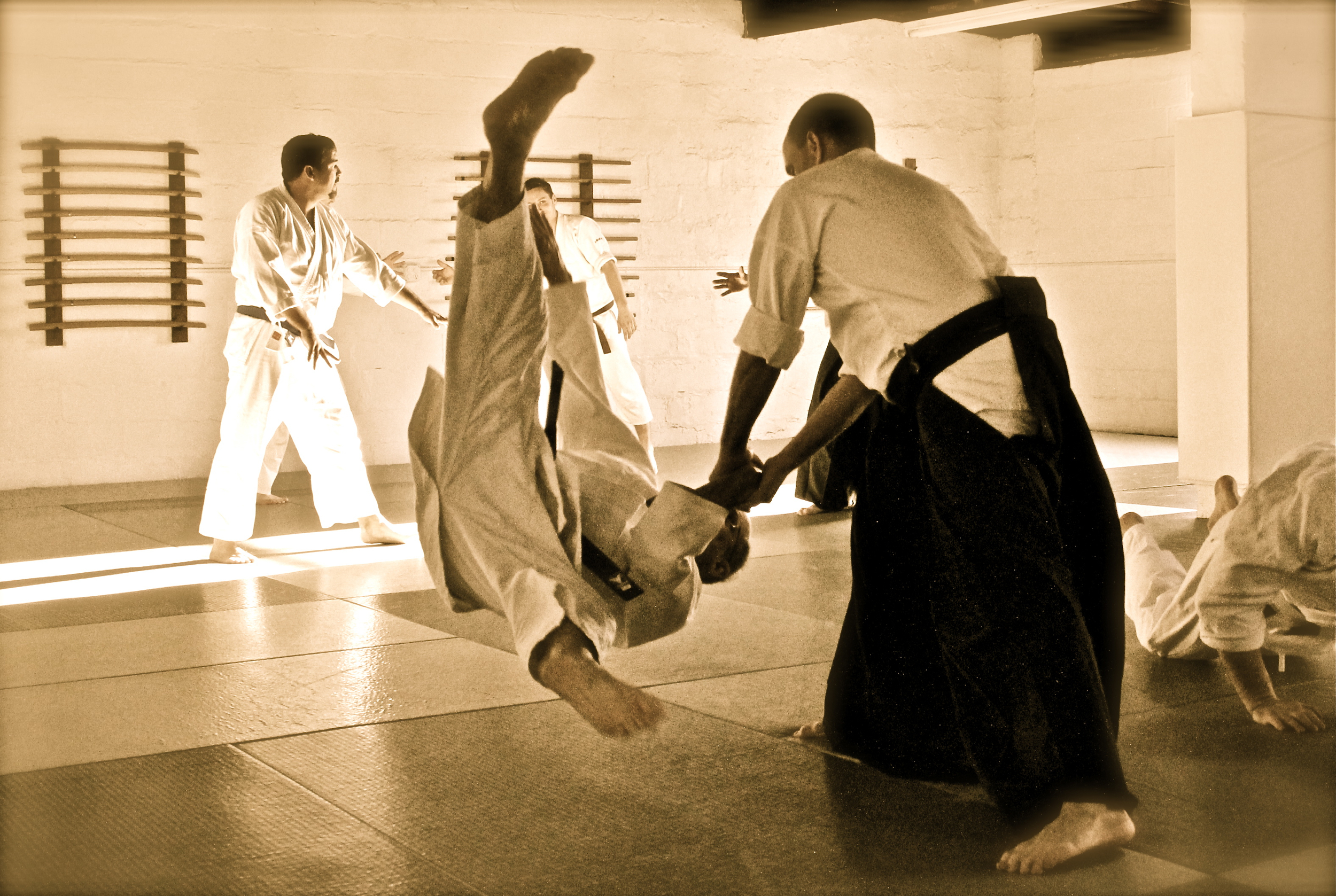 aikido (69).jpg