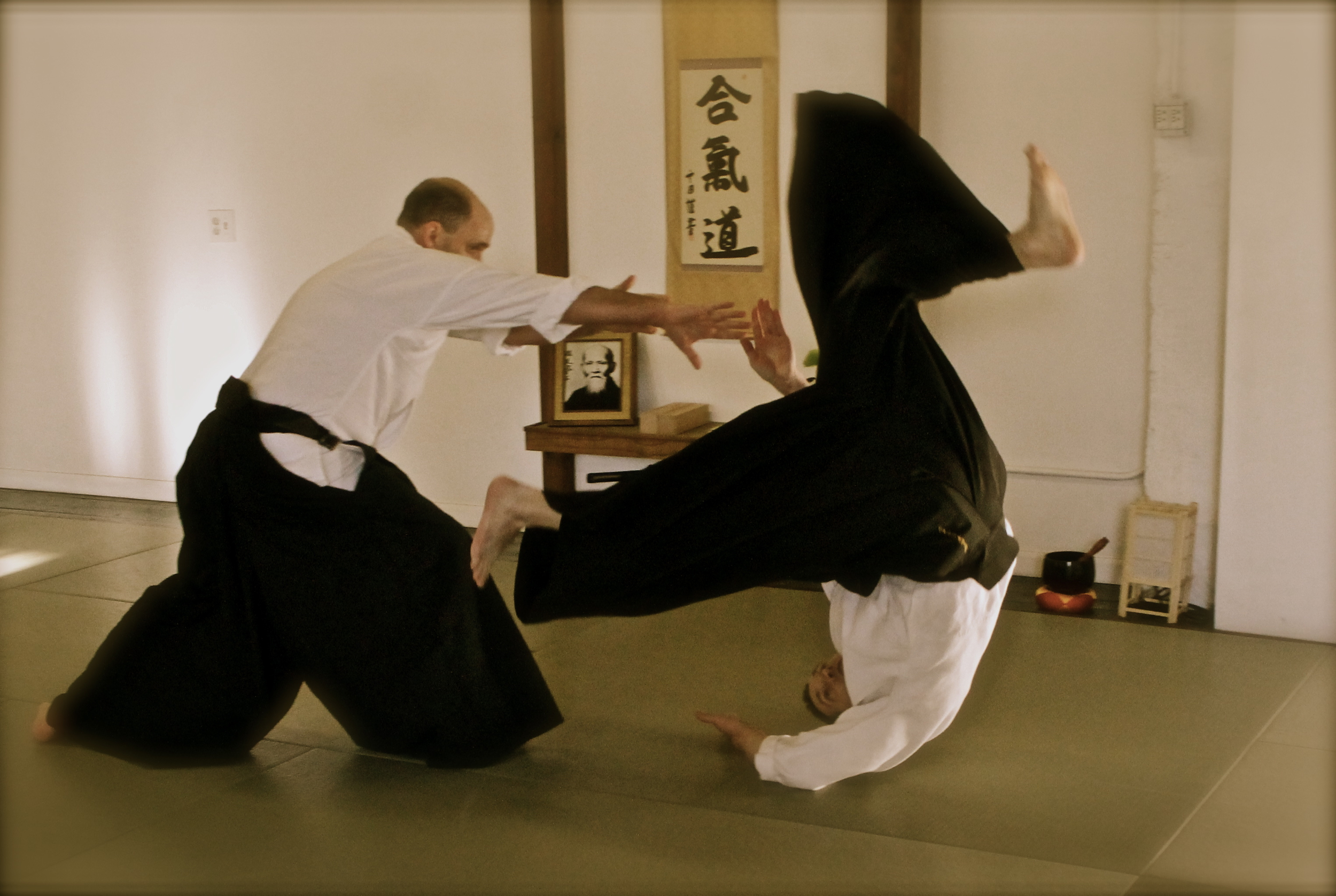 aikido (255).jpg