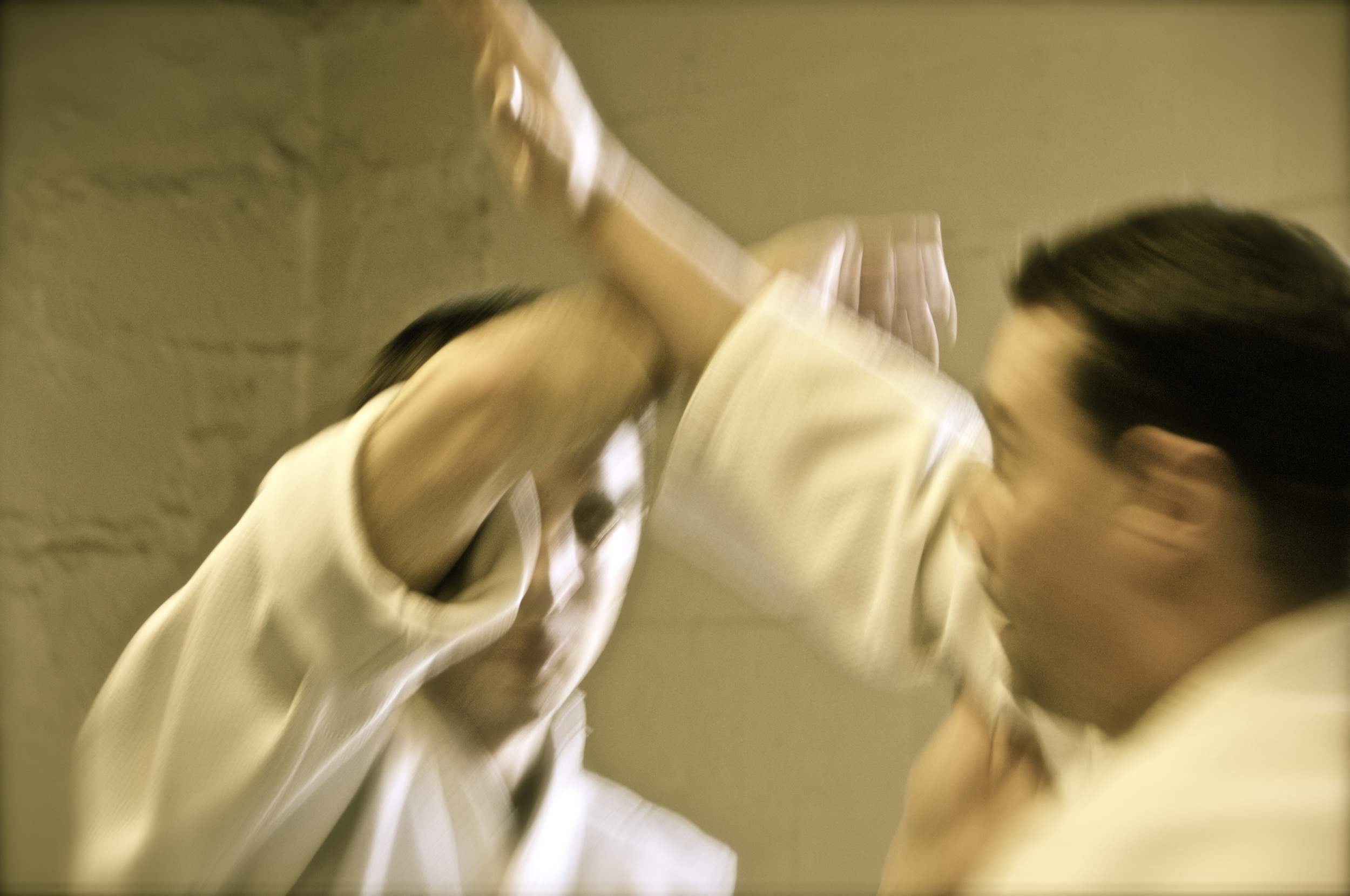 Aikidopal_198.jpg