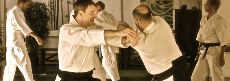 Students of all levels train together in an environment focused on mutual cooperation.