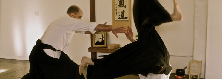 In addition to being a practical method of self defense, Aikido develops the practitioner toward being a fully realized person.