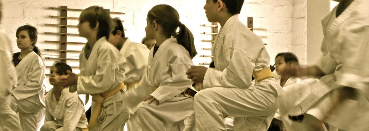 Aikido's focus on harmonious conflict resolution often appeals to parents.