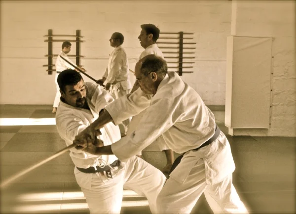 aikido (167).jpg
